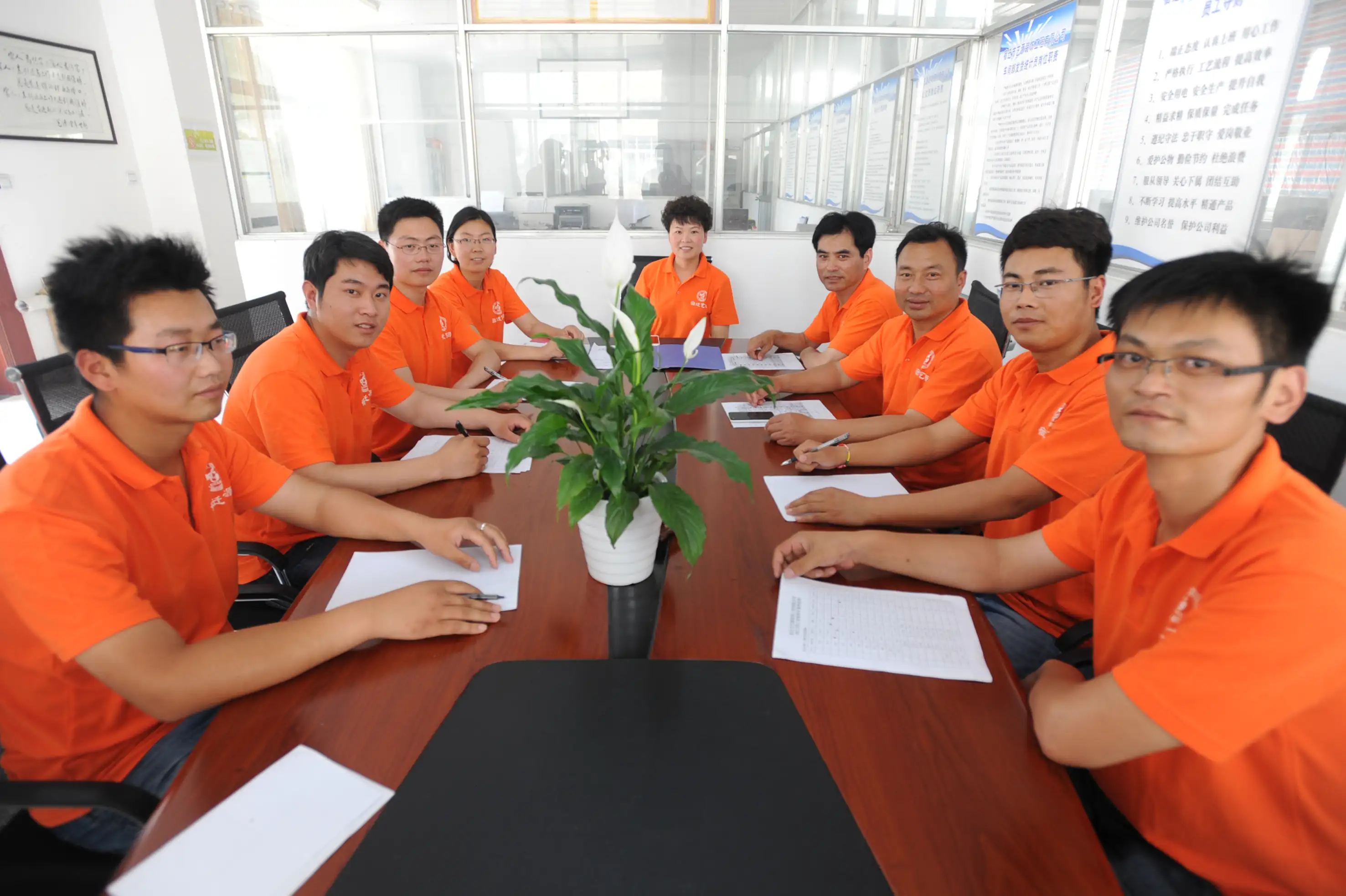 Professional Team